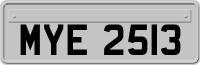MYE2513