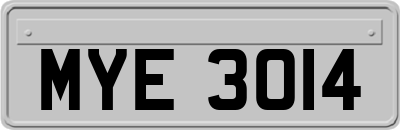 MYE3014