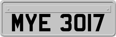 MYE3017