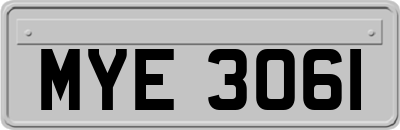 MYE3061