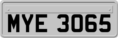 MYE3065