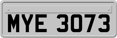 MYE3073