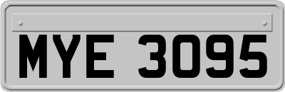 MYE3095