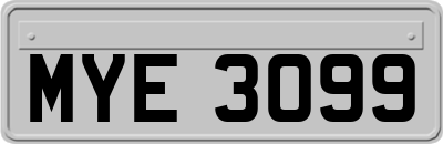 MYE3099