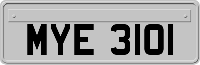 MYE3101