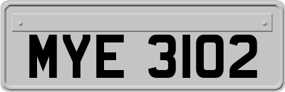 MYE3102
