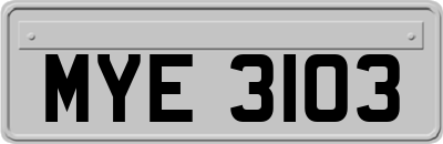 MYE3103