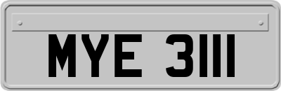 MYE3111