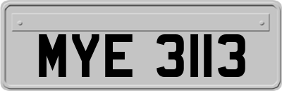 MYE3113