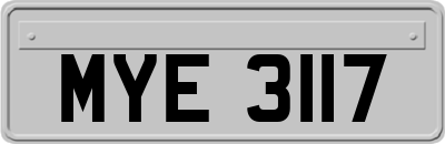 MYE3117