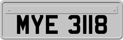 MYE3118
