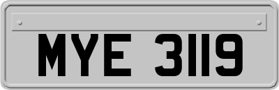 MYE3119