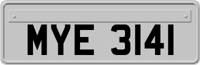 MYE3141