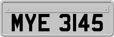 MYE3145