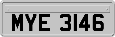 MYE3146