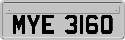 MYE3160