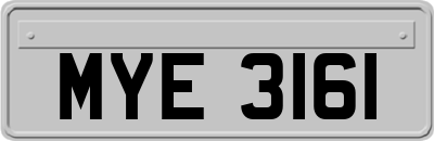 MYE3161