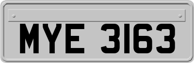 MYE3163