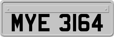 MYE3164