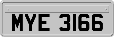 MYE3166