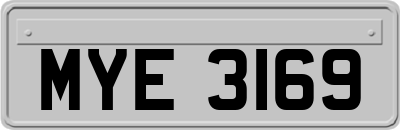 MYE3169