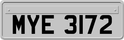 MYE3172