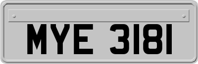 MYE3181
