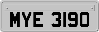 MYE3190