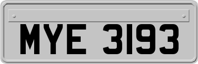 MYE3193