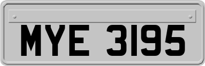 MYE3195