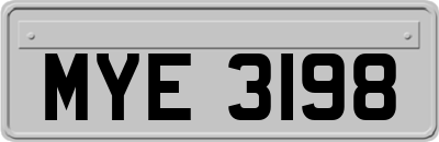 MYE3198
