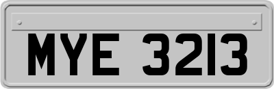 MYE3213