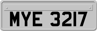 MYE3217