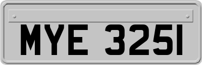 MYE3251