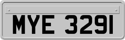 MYE3291