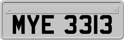 MYE3313