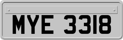 MYE3318
