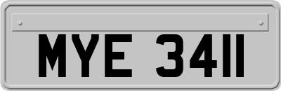 MYE3411
