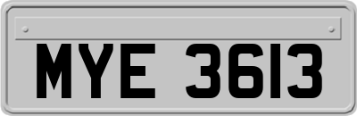 MYE3613