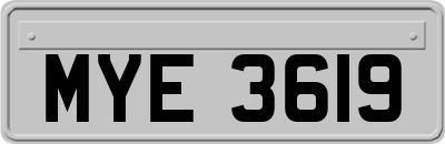 MYE3619