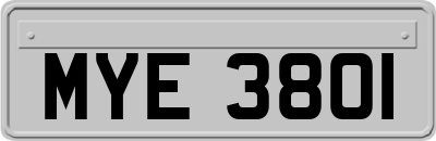 MYE3801