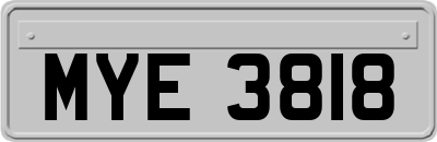 MYE3818