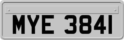 MYE3841
