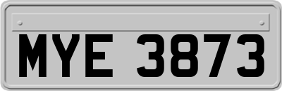 MYE3873