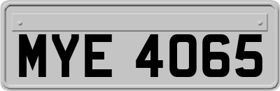 MYE4065