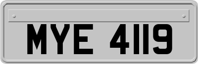 MYE4119
