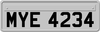 MYE4234