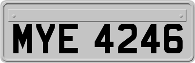MYE4246