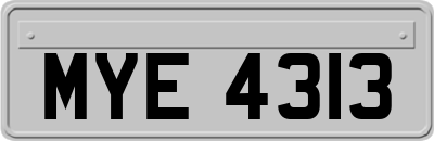 MYE4313