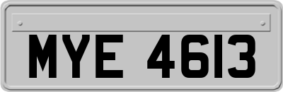 MYE4613